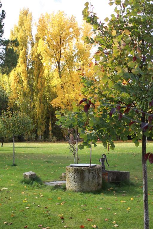 Готель El Jardin De La Huerta Сааґун Екстер'єр фото